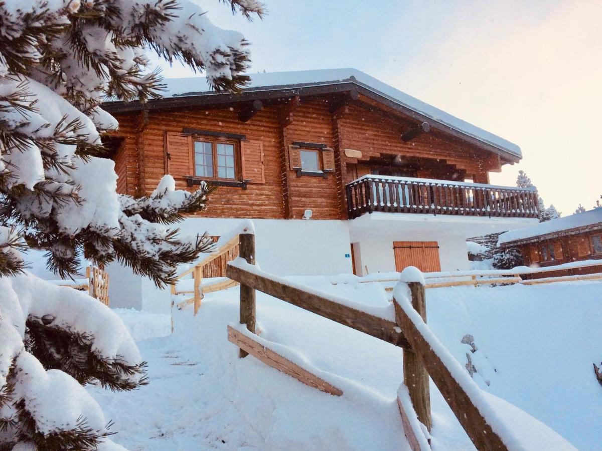 Willa Ei Chalet Du Pere Castor Bolquère Zewnętrze zdjęcie